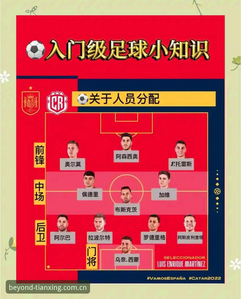 天行体育平台世界杯观赛指南：签证危机下的冷场与应对操作教程